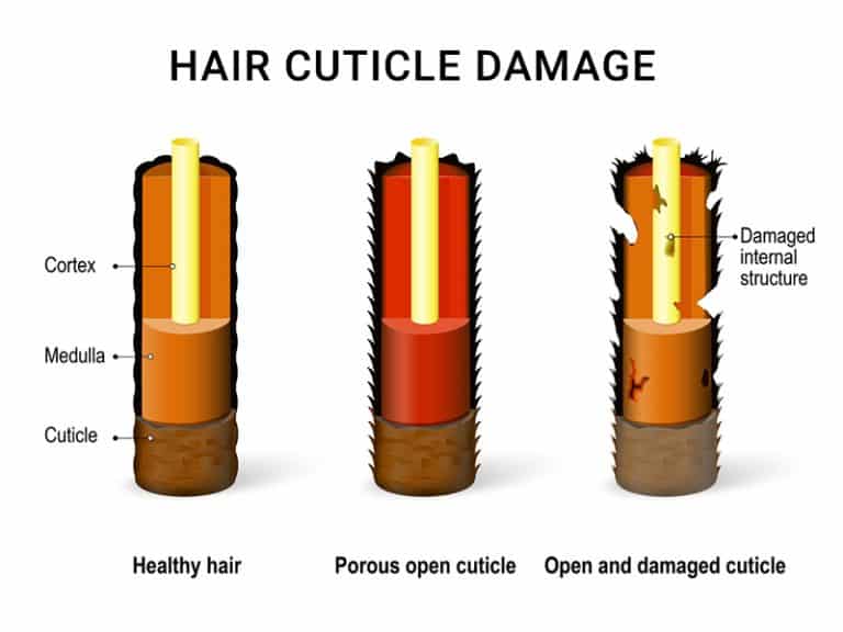 Essential Things the Media Hasn't Told You About Hair Cuticle Damage