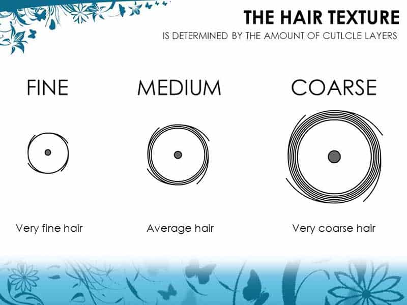 Answered: Your Most Burning Questions About Width Of Human Hair!