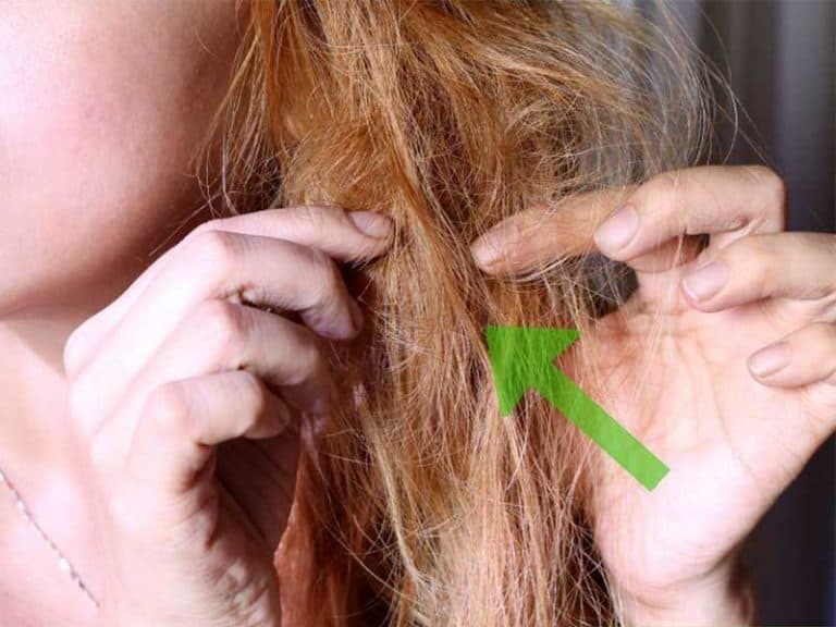 The A Z Of Get Knot Out Of Hair You Should Read