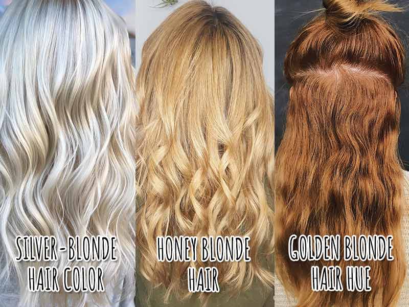 4. "Bleach Blonde vs. Golden Blonde: What's the Difference?" - wide 4