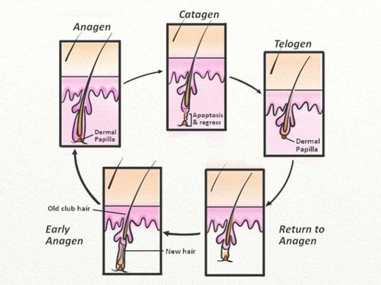 The Ultimate Solution For White Bulb On Hair That You Can Learn Today